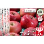 ふるさと納税 りんご 長野県 飯綱町 りんご サンふじ ( 小玉 ) 家庭用 5kg 松澤農園 沖縄県への配送不可 2025年11月下旬頃から2026年2月下旬頃まで順次発送予…