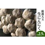 野菜類 厳選大玉 生にんにく 約2.5kg