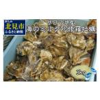 ふるさと納税 牡蠣 生牡蠣 北海道 北見市 予約:2025年10月中旬から順次発送 サロマ湖産 海のミルク 阿修羅牡蠣 3kg ( 期間限定 新鮮 生食 生ガキ カキ かき …