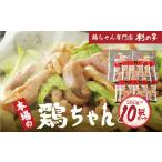 鶏肉 鶏ちゃん専門店 杉の子 味付き鶏ちゃん 250g×10袋