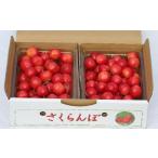 ふるさと納税 果物類 さくらんぼ 山形県 上山市 さくらんぼ(佐藤錦)1kg 2Lサイズ 0069-2503
