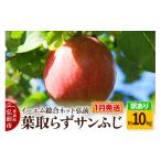 ふるさと納税 りんご 青森県 弘前市 26年1月発送 りんご 訳あり 葉取らず サンふじ 約10kg 糖度 13度以上 EMりんご
