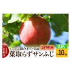 ふるさと納税 りんご 青森県 弘前市 26年2月発送 りんご 訳あり 葉取らず サンふじ 約10kg 糖度 13度以上 EMりんご