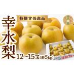 ショッピングふるさと納税 梨 ふるさと納税 梨 福岡県 うきは市  先行予約 鈴木農園 特選甘果逸品 幸水梨 12玉から15玉 （約5kg） 2026年8月上旬より順次発送予定 梨 なし ナシ 幸水 果物 …