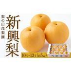 ショッピングふるさと納税 梨 ふるさと納税 梨 福岡県 うきは市  先行予約 梨の山茂梨園 新興梨 10玉から13玉 （約5kg） 2026年10月上旬から11月上旬 出荷予定 梨 なし ナシ 新興 しんこう …