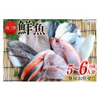 旬の鮮魚等 鮮魚 詰め合わせ 魚屋お任せ 南三陸お楽しみ鮮魚