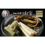 fu.... налог овощи вид дикоросы Hokkaido ветка . блок 3 вид. дикоросы [ гора .]..*...*. бамбук o сигнал tsuk ветка . производство 