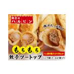 惣菜 レトルト 冷凍 餃子ツートップ 2人前