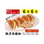 惣菜 レトルト 冷凍 餃子8福神 8人前