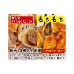 惣菜 レトルト 冷凍 餃子10種完全制覇 10人前
