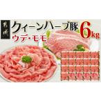 ふるさと納税 豚肉 しゃぶしゃぶ 宮崎県 都城市 「クイーンハーブ豚」ウデ・モモ6kgセット_AD-2904_(都城市) ウデまたはモモしゃぶ(300g×16パック) ウデまた…