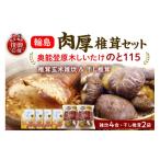 乾物 干ししいたけ 輪島のと115 原木椎茸玄米雑炊と原木干…