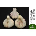 野菜類 加工用 訳あり 生にんにく 約4kg