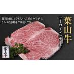 牛肉 サーロイン 葉山牛 サーロインステーキ 約250g