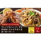 ショッピング牛丼 ふるさと納税 兵庫県 淡路市 プレミアムハンバーグとたまねぎ牛丼 食べ比べセット