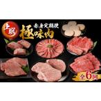 牛肉 セット 定期便 6回 上撰 佐賀牛-赤身-極味肉定期便