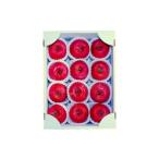 ふるさと納税 りんご 山形県 天童市 07-02-023　りんご(高徳)3kg