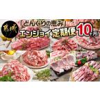 ふるさと納税 豚肉 セット 宮崎県 都城市 「どんぐりの恵み豚」エンジョイ定期便(10ヶ月)_T80(10)-1102_(都城市) スライスセット 焼肉 スペアリブ こま切れ し…