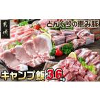 ふるさと納税 豚肉 ステーキ 宮崎県 都城市 「どんぐりの恵み豚」キャンプ飯3.6kgセット_17-1104_(都城市) 都城産豚 どんぐりの恵み ロースステーキ バラワイ…