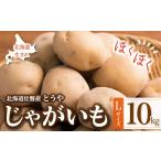 野菜類 じゃがいも 産じゃがいも とうや Lサイズ10kg