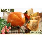ふるさと納税 果物類 柿 和歌山県 九度山町  希少 紀の川柿約3.5〜4kg（種無し）秀選品 2026年11月頃より順次発送［TM12］
