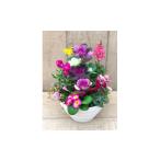 花 苗木 生産農場直送 季節の寄せ植え