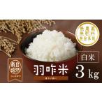 米 令和7年産 コシヒカリ 能登米 3kg