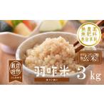 ふるさと納税 玄米 石川県 羽咋市  玄米 コシヒカリ 3kg 令和7年産 自然栽培 数量限定 1袋 玄米 羽咋米 自然栽培米 玄米 羽咋 米 能登 こしひかり こだわり 石…