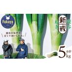 fu.... налог овощи вид лук порей Saitama префектура Fukaya город предшествующий предварительный заказ Fukaya лук порей. . пункт Fukaya новый . лук порей 11218-0238