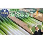 fu.... налог овощи вид лук порей Saitama префектура Fukaya город предшествующий предварительный заказ ....,........gyu. Fukaya лук порей 4kg 11218-0240