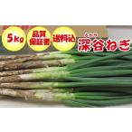 fu.... налог овощи вид лук порей Saitama префектура Fukaya город прямая поставка от производителя Fukaya лук порей 5kg( земля имеется ) 11218-0242