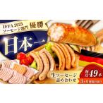 肉 ソーセージ 3回定期便 ソーセージ計49本