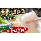 魚貝類 迷ったらコレ 対馬産 幻の高級魚 クエ 500g