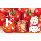 fu.... налог помидор мини помидоры Saga префектура Saga город популярный ...kok.do класс do помидор 1 номер .... овощи производство прямой Saga город :B140-010