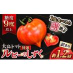 ふるさと納税 野菜類 トマト 長崎県 西海市 トマト 高糖度 2026年収穫分先行予約 訳あり 大島 トマト ルビーのしずく 約1.2kg 大島造船所 農産グループ CCK025…