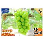 ショッピングふるさと納税 シャインマスカット ふるさと納税 ぶどう マスカット 山梨県 富士吉田市  2026年発送 先行予約 山梨県産シャインマスカット2kg(3〜5房) フルーツ シャインマスカット 高級 2026年 …