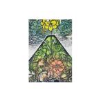 絵画 S63 木版画家 富張廣司 山粧う Fuji