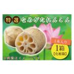 人参 大根 他根菜 JA 特選なめがたれんこん1箱