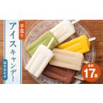手造りアイスキャンデー 80ml×17本