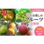 ふるさと納税 山形県 鶴岡市 【令和6年産先行予約】【定期便】山形県鶴岡産 旬のお楽しみフルーツセット（果物）　和梨・シャインマスカット・ラフランス＆庄…