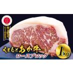 牛肉 サーロイン GI認証取得 くまもとあか牛