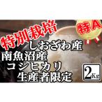 ふるさと納税 米 コシ