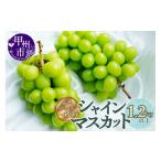 ふるさと納税 ぶどう マスカット 山梨県 甲州市 厳選契約農家の一級品 シャインマスカット1.2kg以上 2~3房 2025年配送 (SFL) B12-430 シャインマスカット 葡…