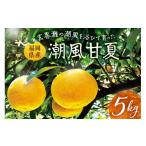 みかん 柑橘類 先行受付 玄界灘の潮風を浴びて