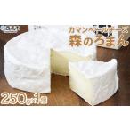 加工品等 チーズ ほわいとファームのカマンベールチーズ
