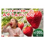 ӂ邳Ɣ[  {茧 s  Ԍ蔭 ݂₳񎩖̂߃`CX n  (250g~4pbN) 1000g ݂₳̂ {茧 s 45c