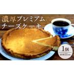 ケーキ カステラ チーズケーキ 濃厚プレミアムチーズケーキ