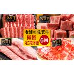 牛肉 ロース 定期便6回 奇数月配送 老舗の佐賀牛