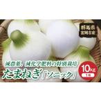 fu.... налог овощи вид шар лук порей Gunma префектура . холм город предшествующий предварительный заказ специальный культивирование сельское хозяйство производство предмет шар лук порей [ Sonic ] 10kg (2026 год 5 месяц средний ... время от времени отгрузка ) F20E-485