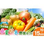 セット 詰合せ 定期便12回 JA直売所直送